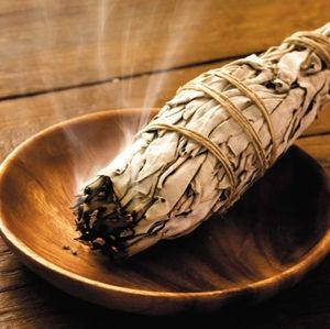 Meet your Posher, Grndqueen